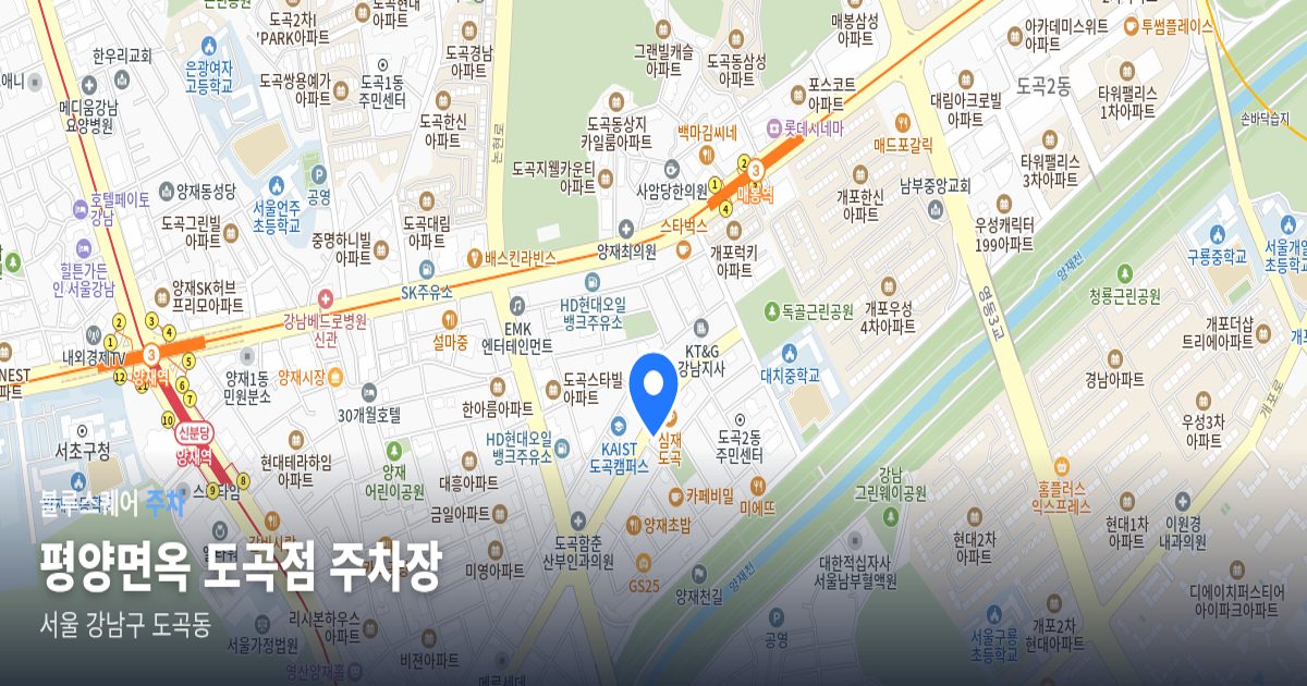 평양면옥 도곡점 주차장 위치 지도