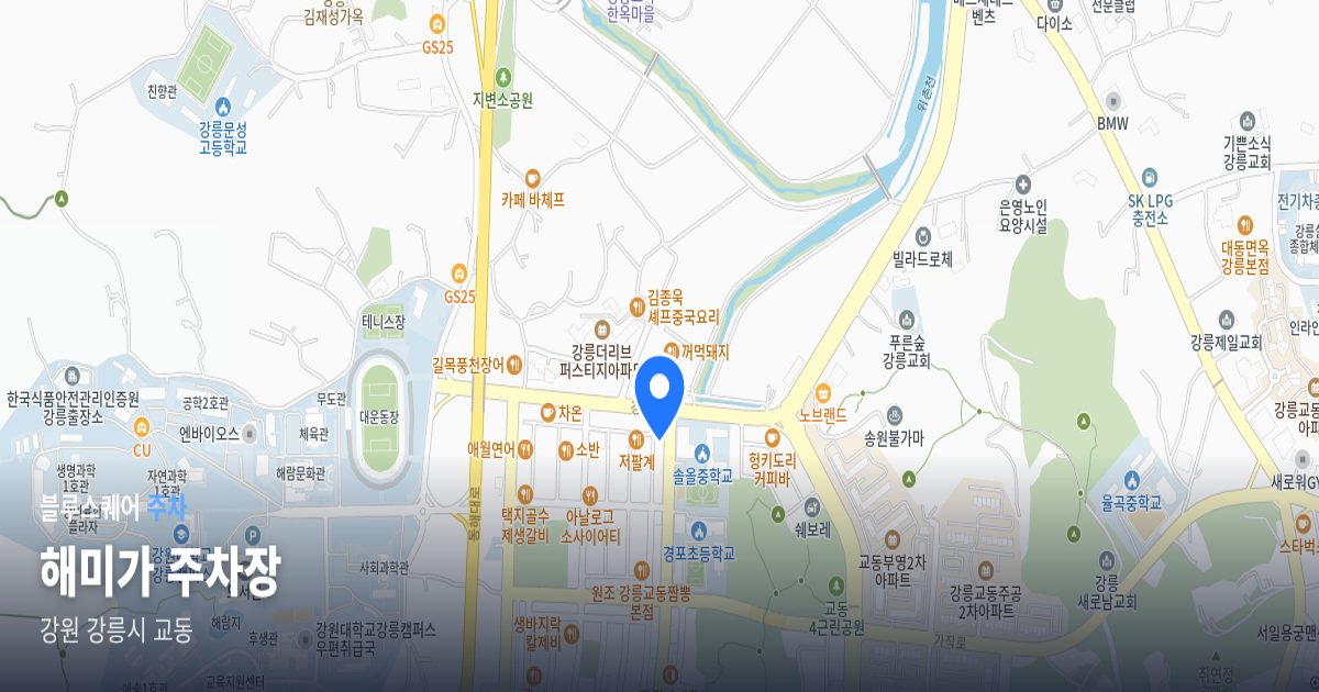 해미가 주차장 위치 지도