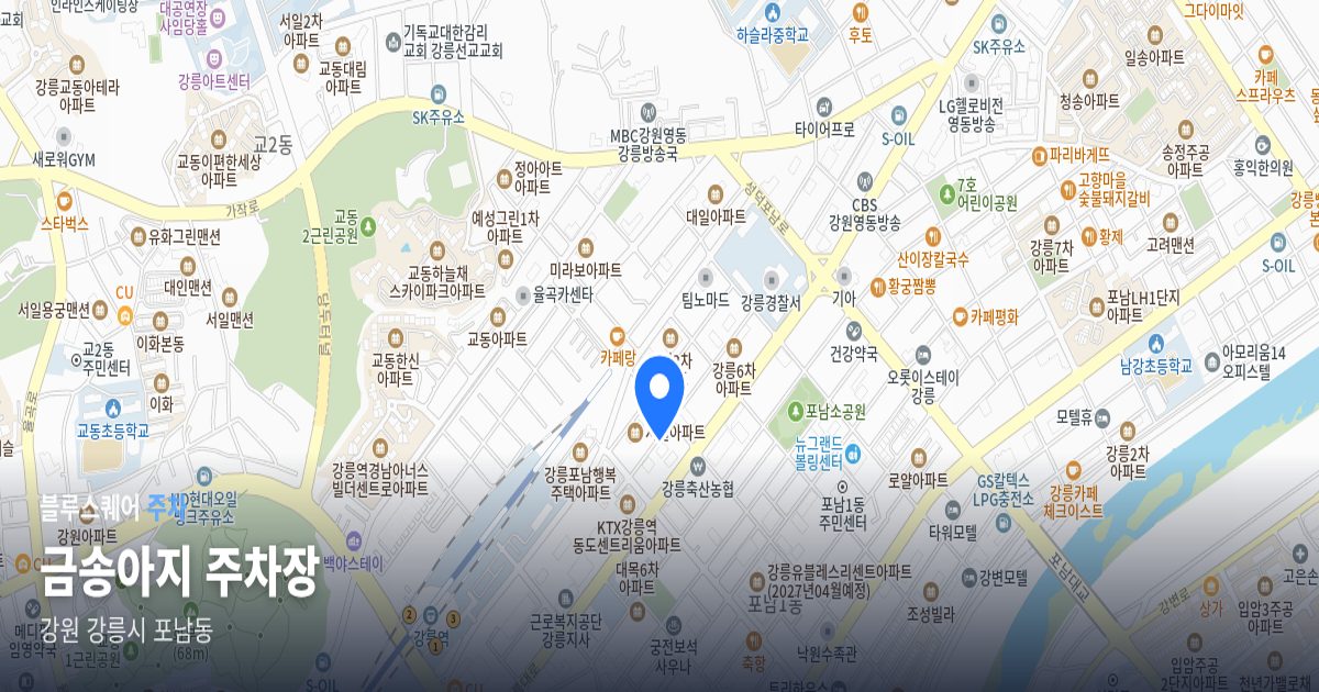 금송아지 주차장 위치 지도