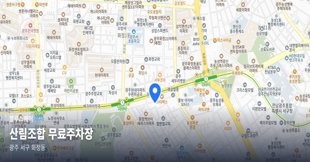 산림조합 무료주차장 위치 지도