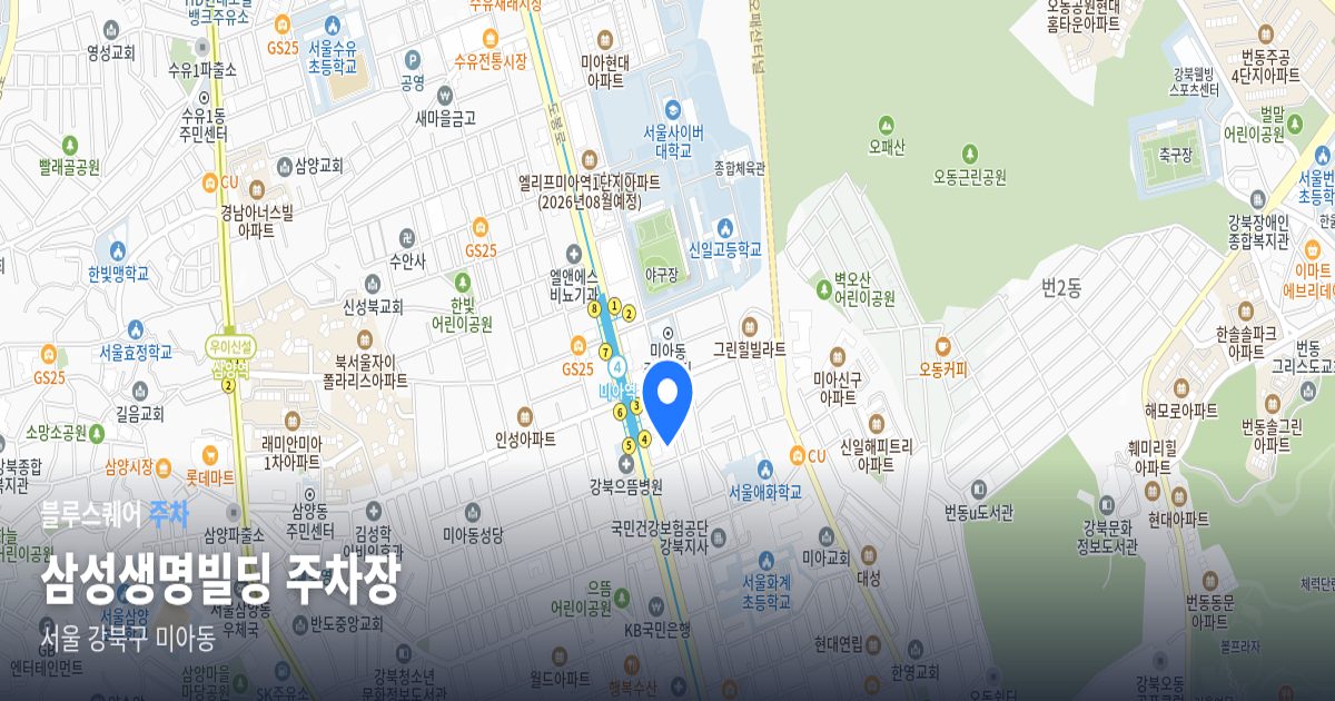 삼성생명빌딩 주차장 위치 지도