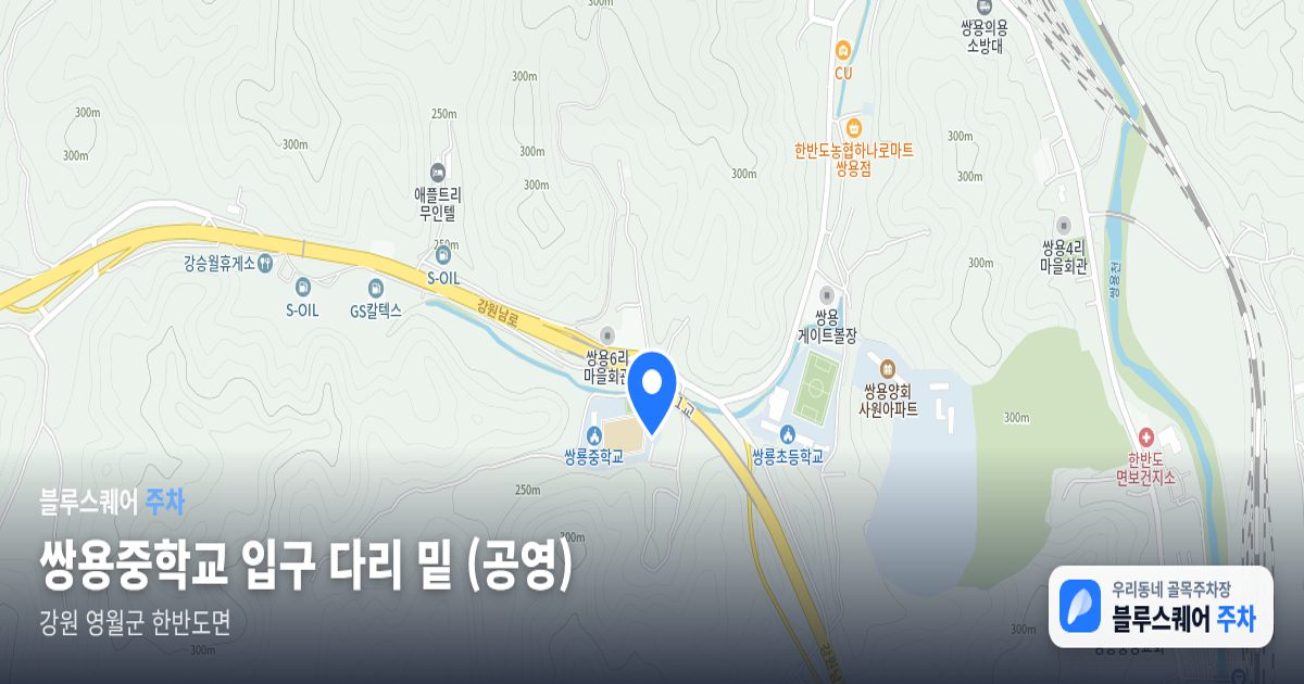 쌍용중학교 입구 다리 밑 (공영) 위치 지도