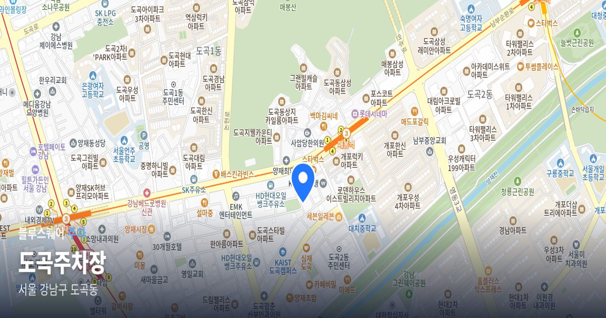 도곡주차장 위치 지도