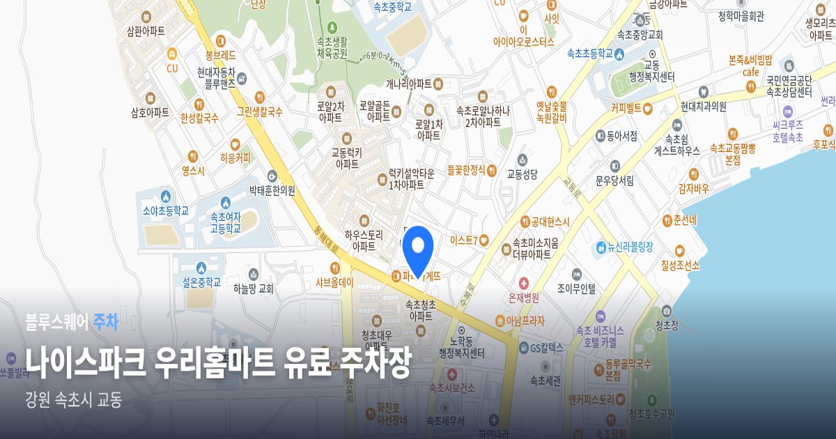 나이스파크 우리홈마트 유료 주차장 위치 지도