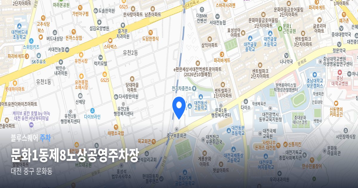 문화1동제8노상공영주차장 위치 지도