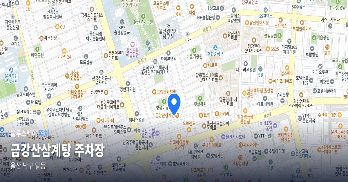 금강산삼계탕 주차장 위치 지도