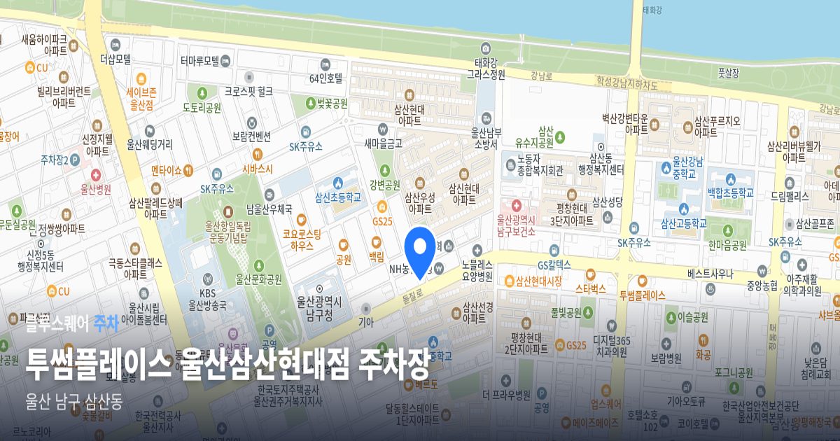 투썸플레이스 울산삼산현대점 주차장 위치 지도