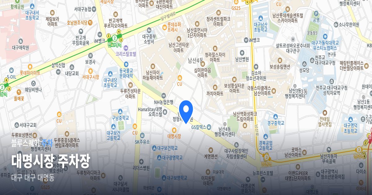 대명시장 주차장 위치 지도