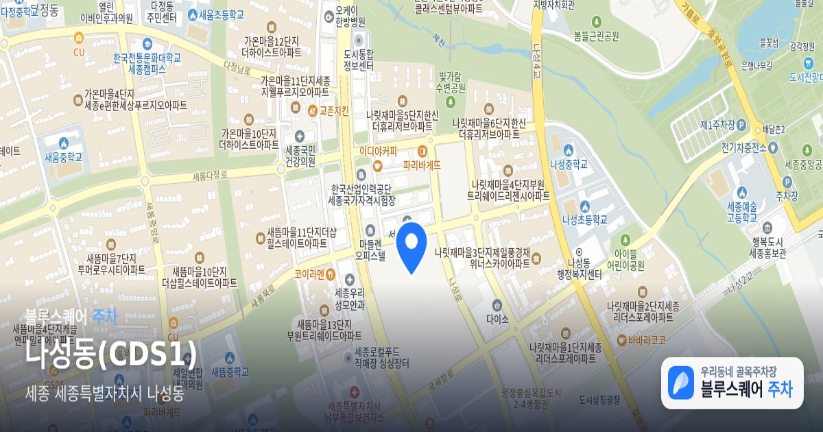 나성동(CDS1) 위치 지도