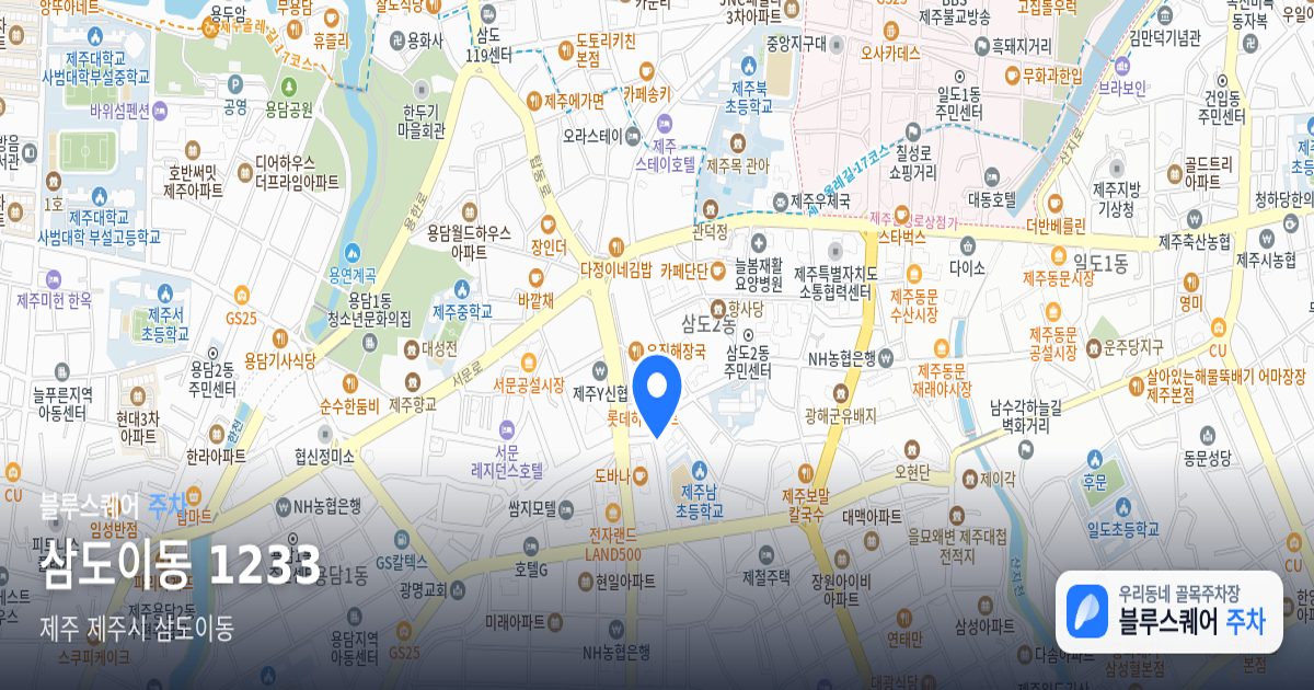 삼도이동 1233 위치 지도