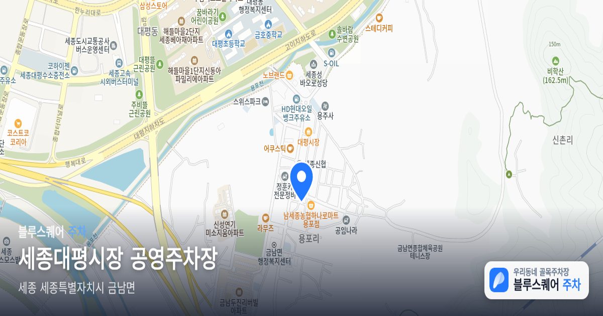 세종대평시장 공영주차장 위치 지도