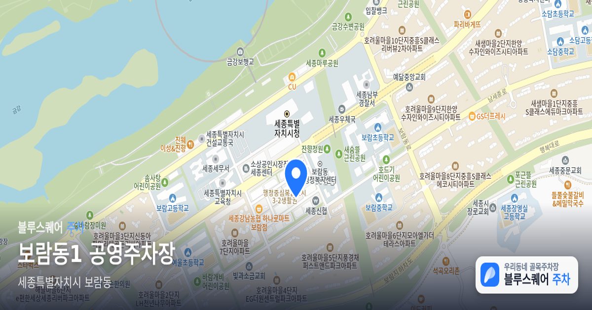 보람동1 공영주차장 위치 지도