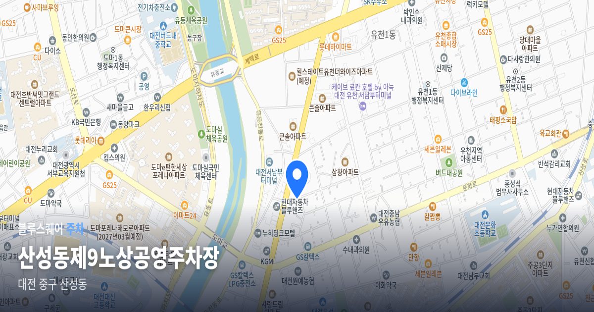 산성동제9노상공영주차장 위치 지도