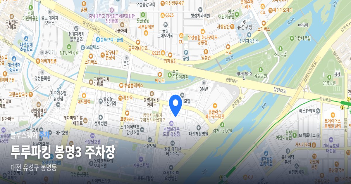 투루파킹 봉명3 주차장 위치 지도