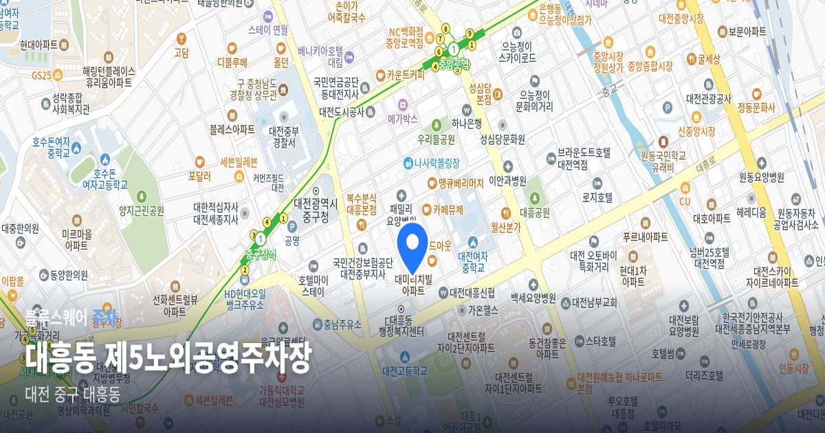 대흥동 제5노외공영주차장 위치 지도