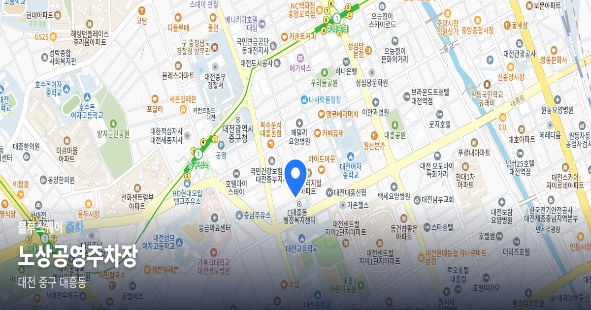 노상공영주차장 위치 지도