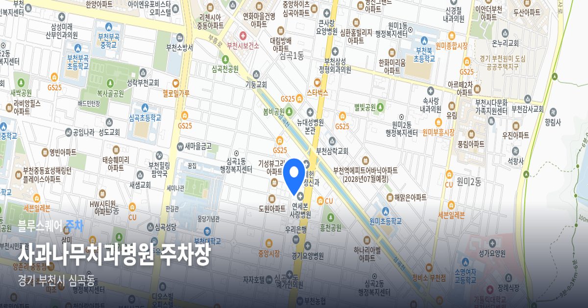 사과나무치과병원 주차장 위치 지도