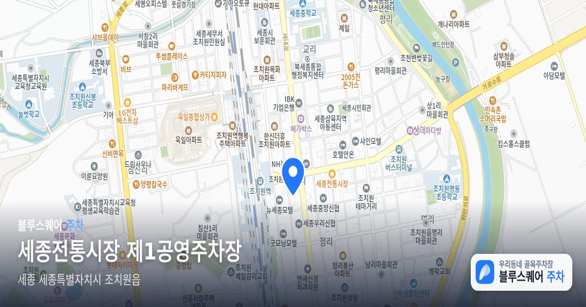 세종전통시장 제1공영주차장 위치 지도