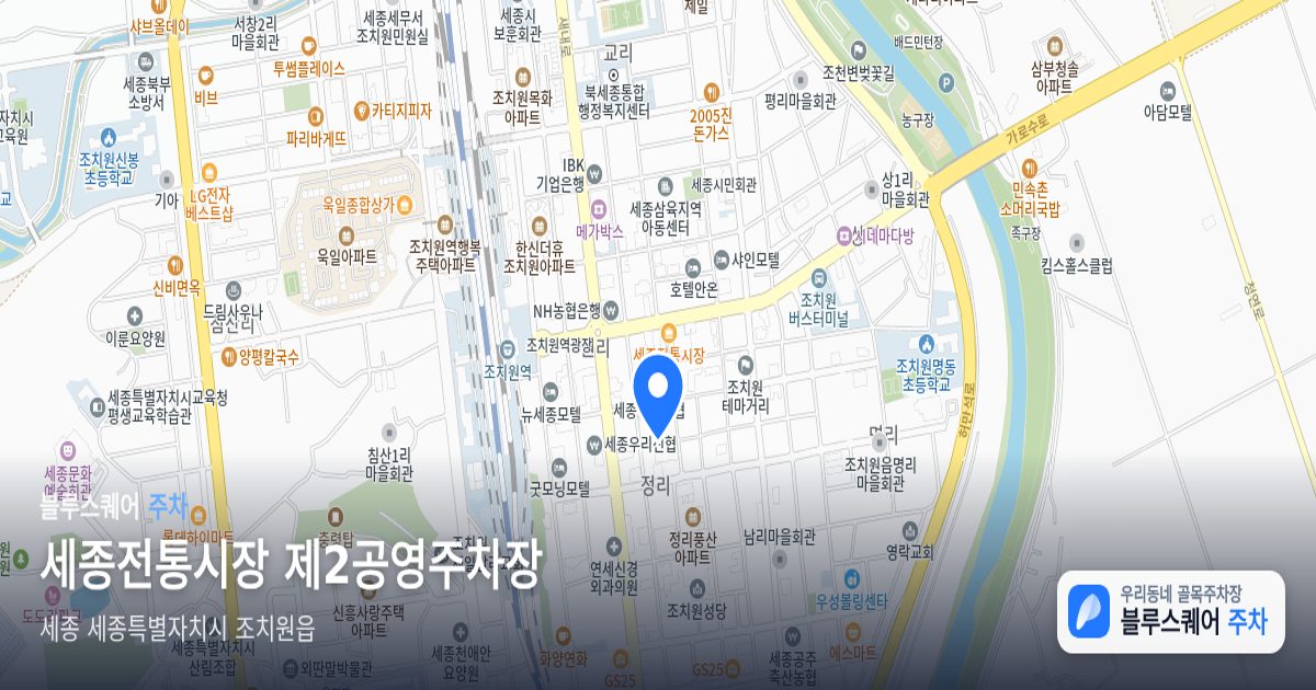 세종전통시장 제2공영주차장 위치 지도
