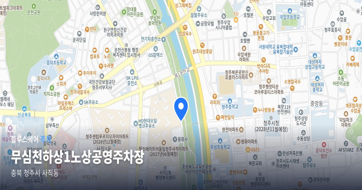 무심천하상1노상공영주차장 위치 지도