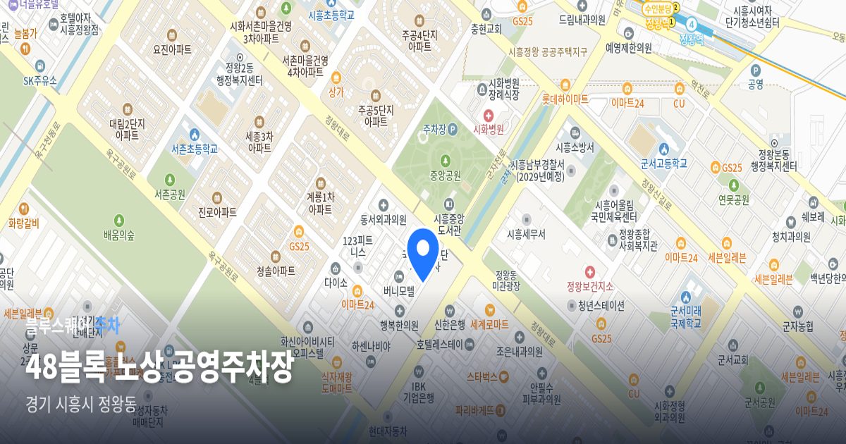 48블록 노상 공영주차장 위치 지도