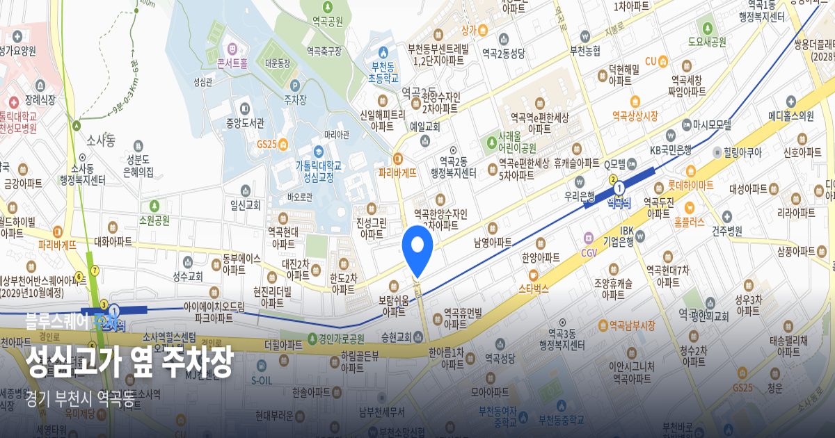 성심고가 옆 주차장 위치 지도