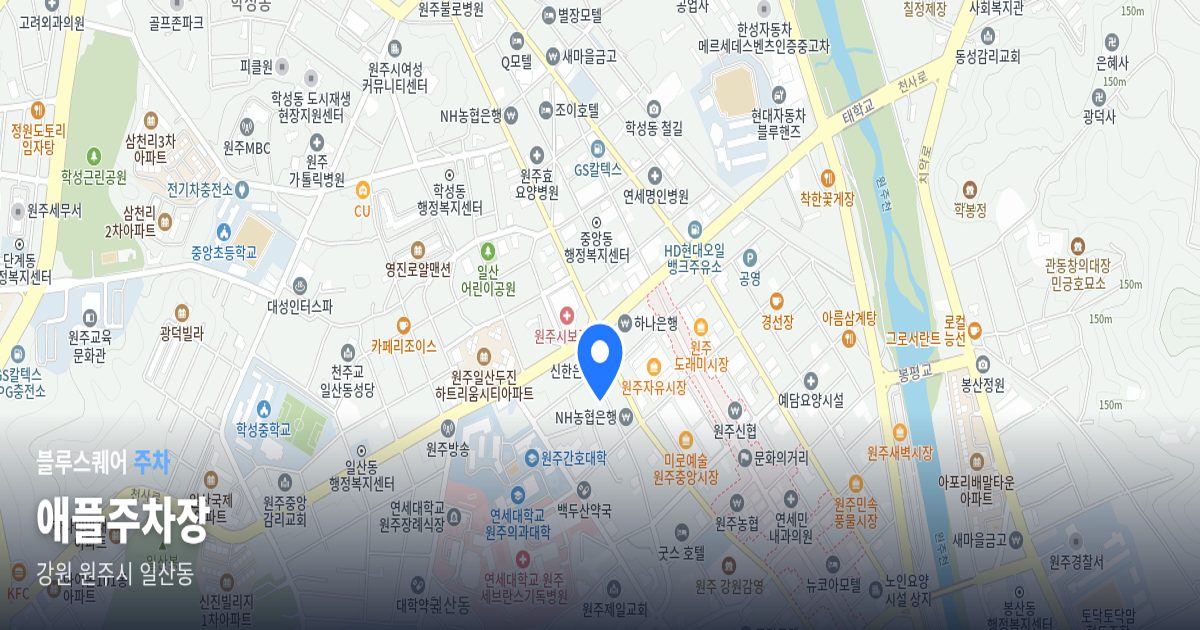 애플주차장 위치 지도