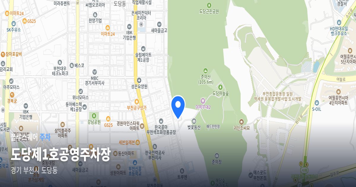 도당제1호공영주차장 위치 지도