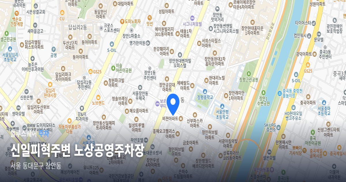 신일피혁주변 노상공영주차장 위치 지도
