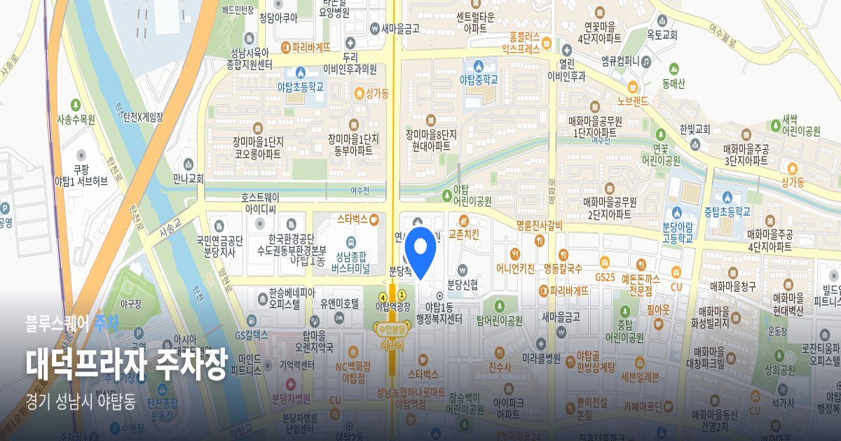 대덕프라자 주차장 위치 지도
