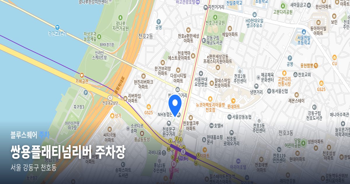 쌍용플래티넘리버 주차장 위치 지도