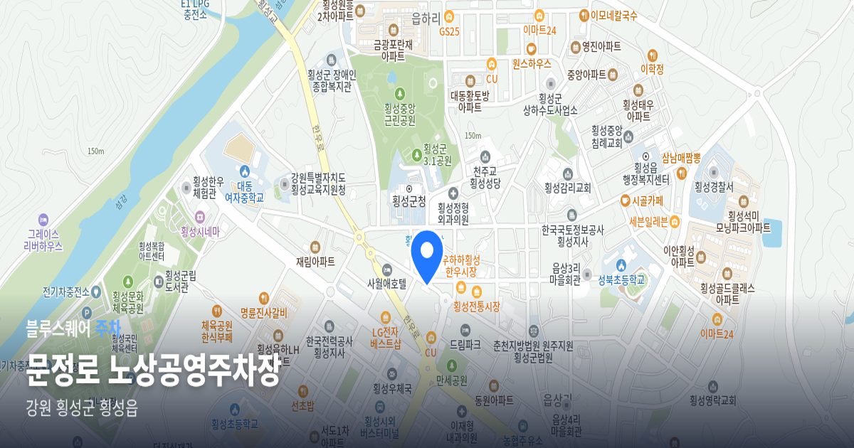 문정로 노상공영주차장 위치 지도