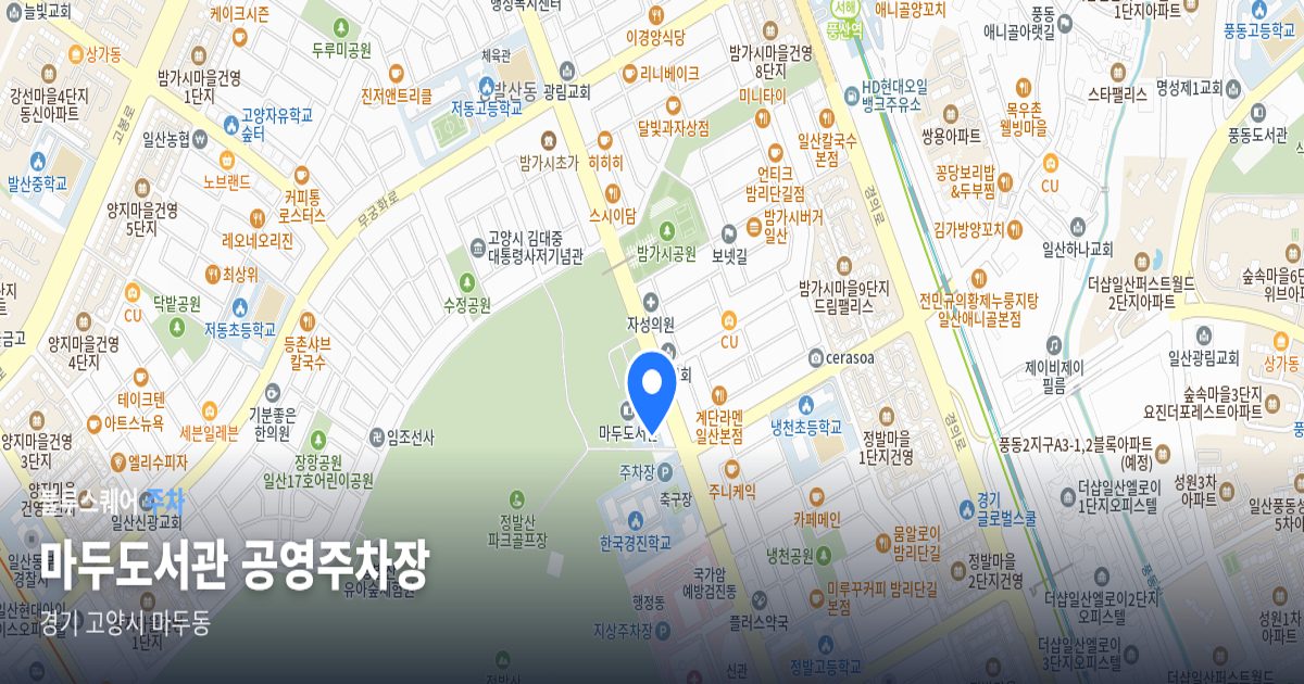 마두도서관 공영주차장 위치 지도