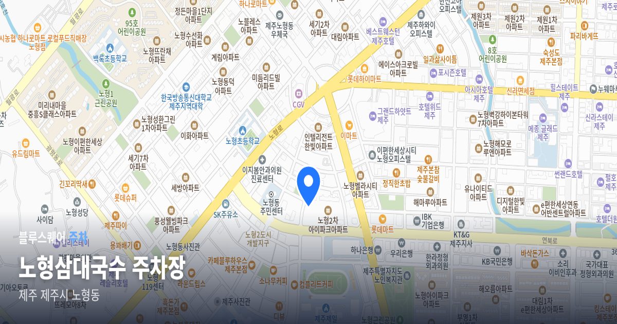 노형삼대국수 주차장 위치 지도
