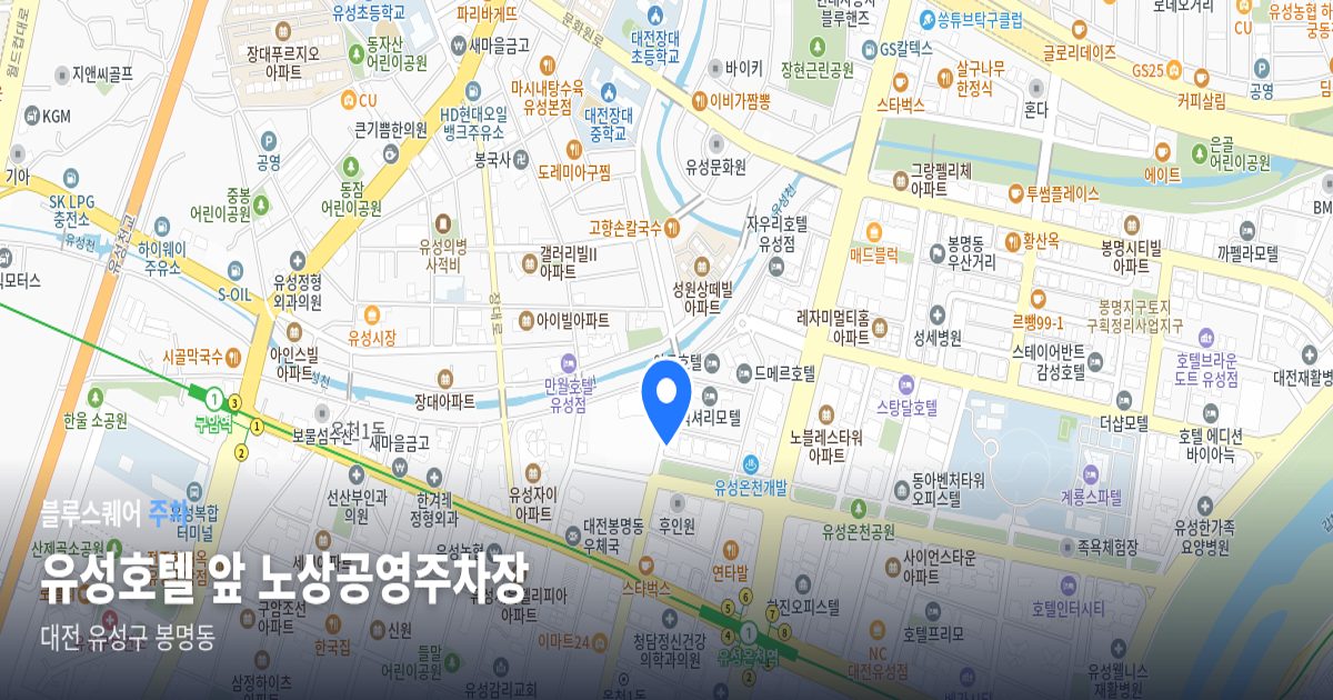 유성호텔 앞 노상공영주차장 위치 지도