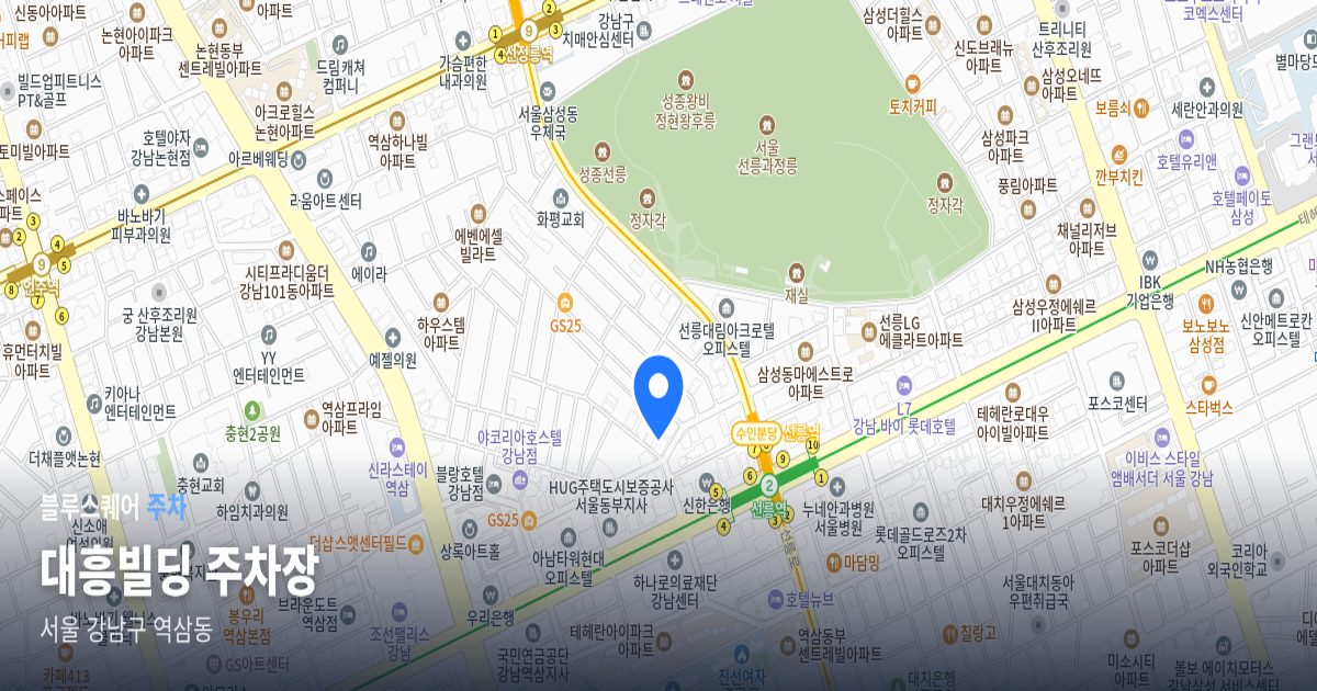 대흥빌딩 주차장 위치 지도