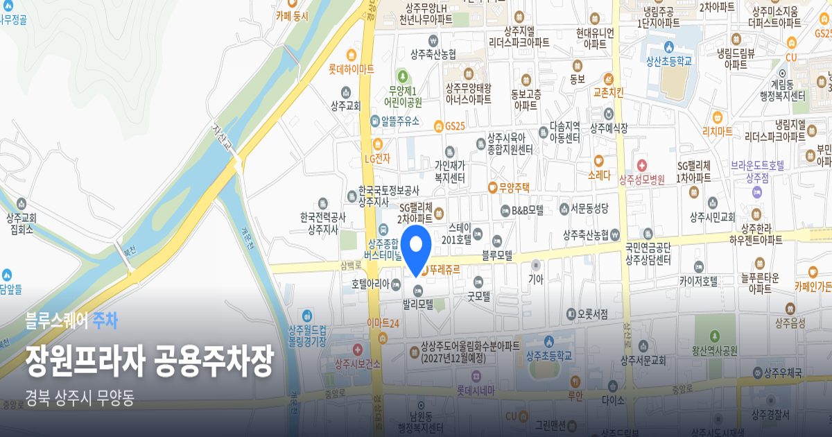 장원프라자 공용주차장 위치 지도