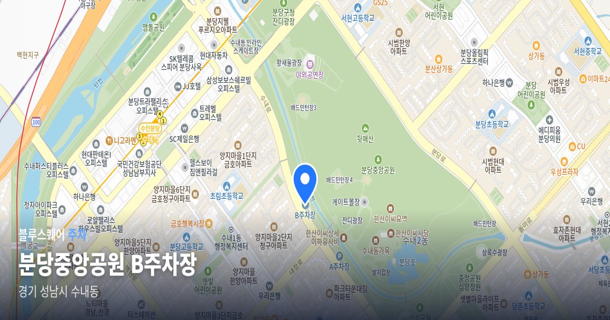 분당중앙공원 B주차장 위치 지도