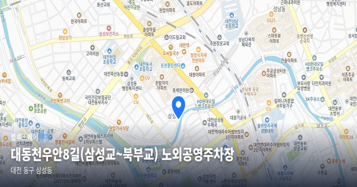 대동천우안8길(삼성교~북부교) 노외공영주차장 위치 지도