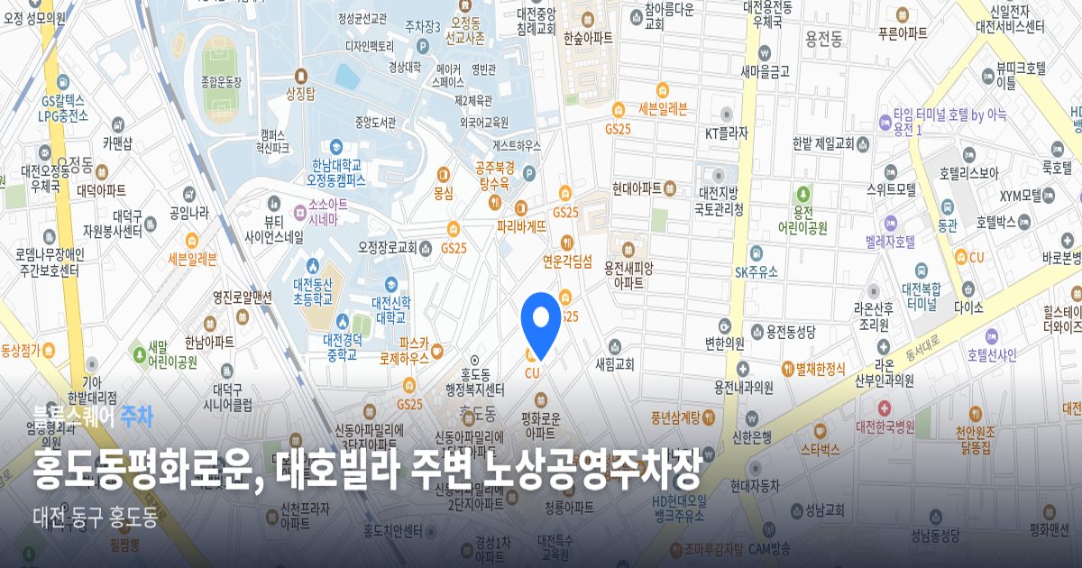 홍도동평화로운, 대호빌라 주변 노상공영주차장 위치 지도