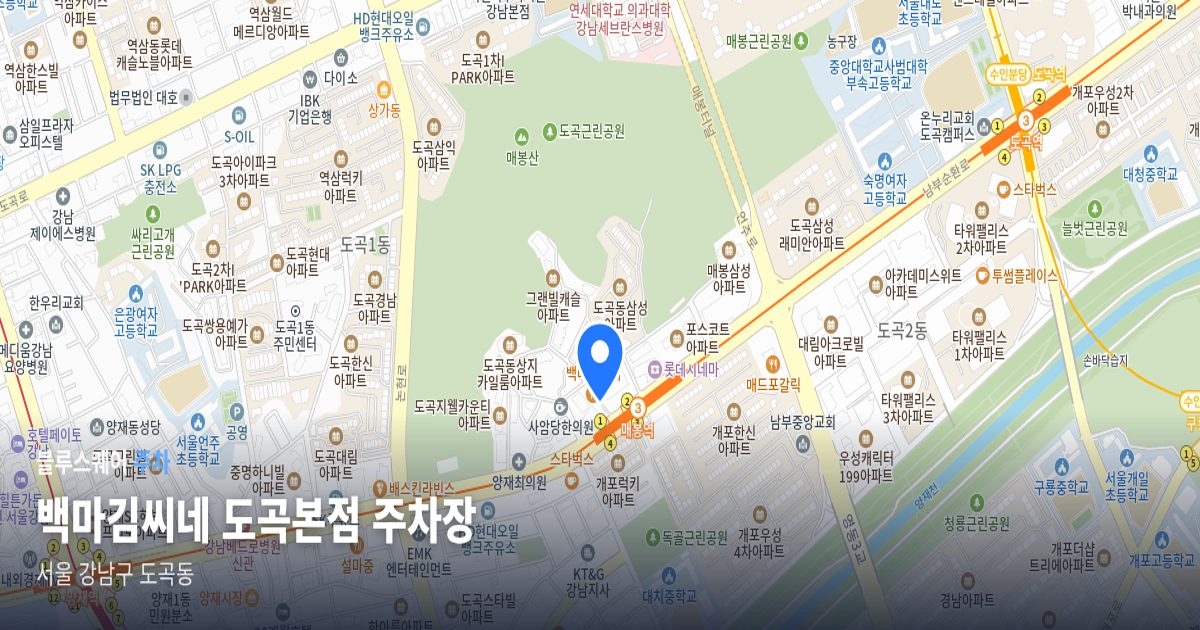 백마김씨네 도곡본점 주차장 위치 지도