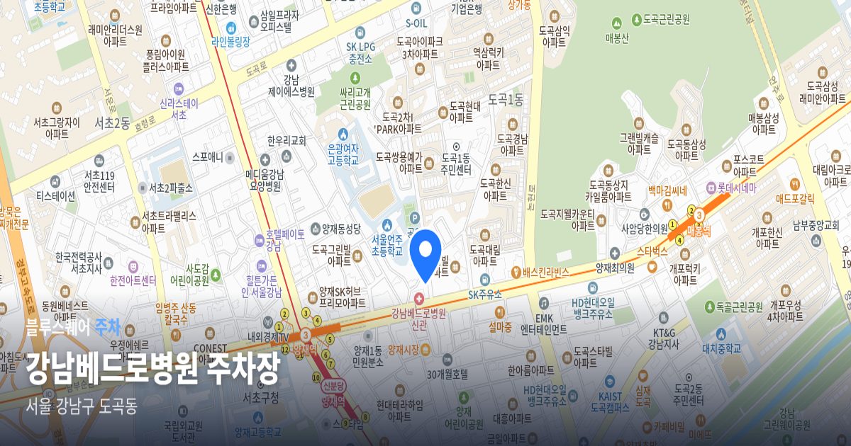 강남베드로병원 주차장 위치 지도