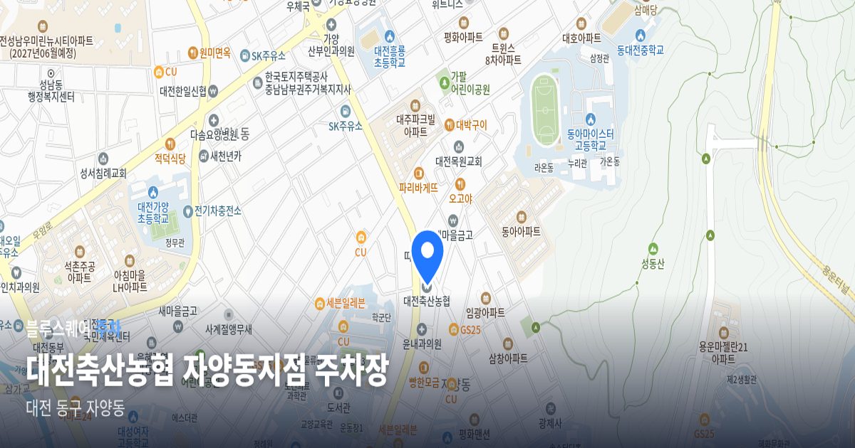 대전축산농협 자양동지점 주차장 위치 지도