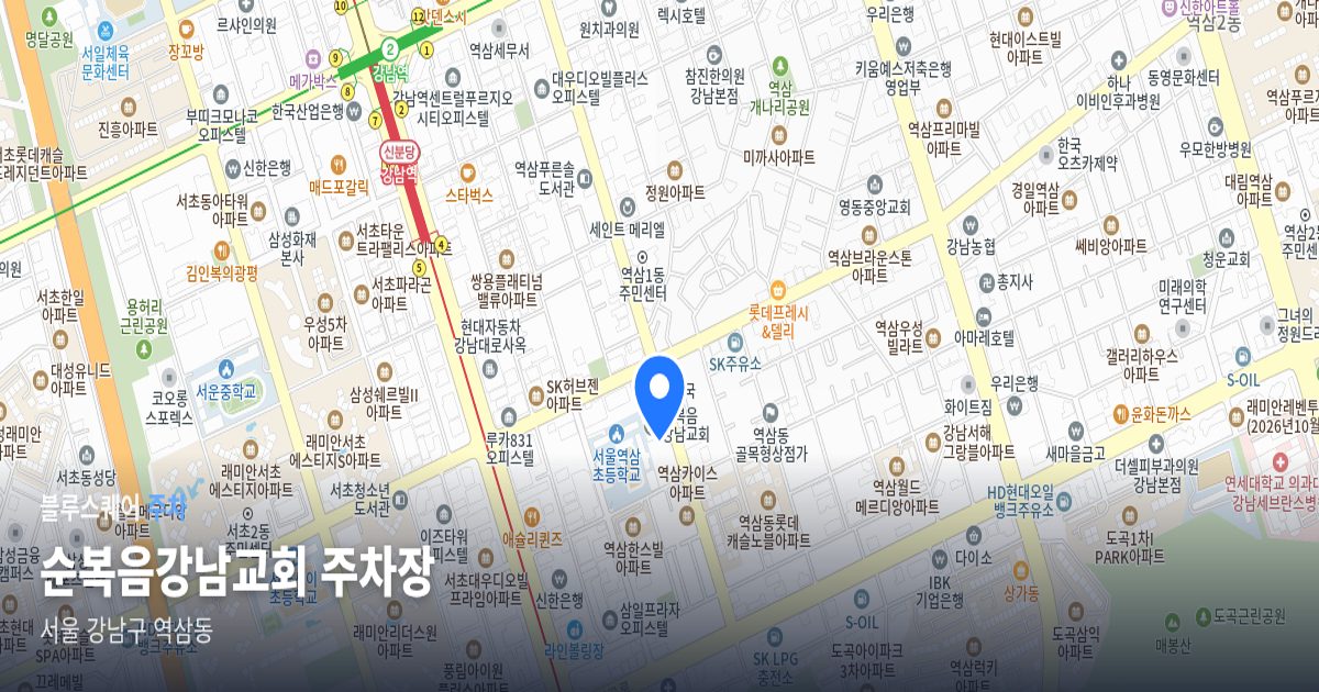 순복음강남교회 주차장 위치 지도
