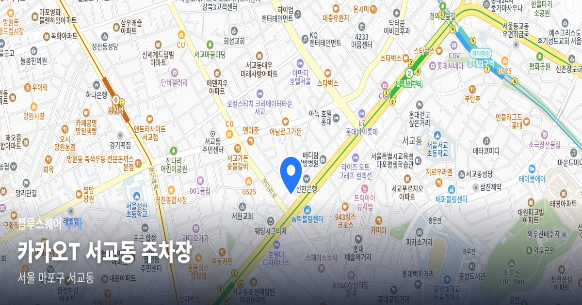 카카오T 서교동 주차장 위치 지도