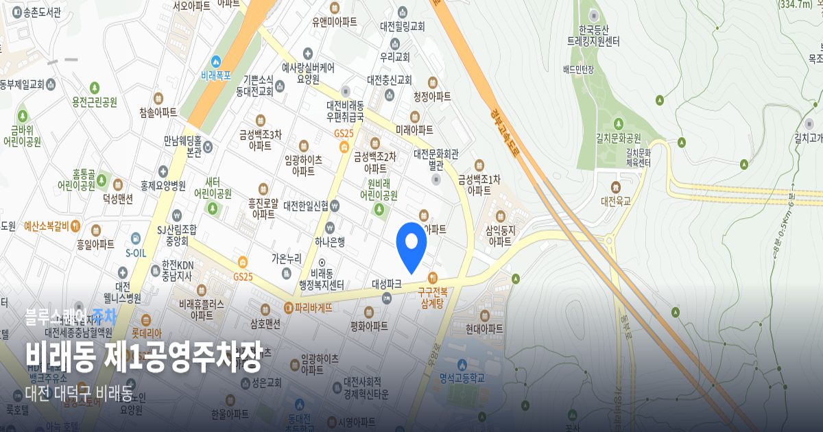 비래동 제1공영주차장 위치 지도