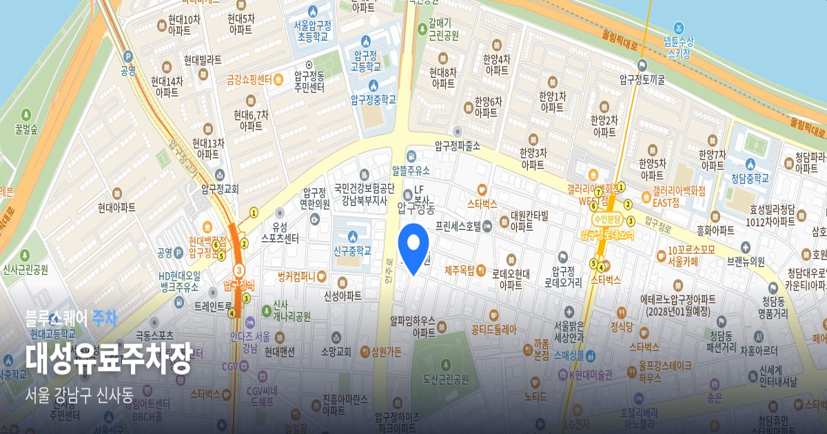 대성유료주차장 위치 지도