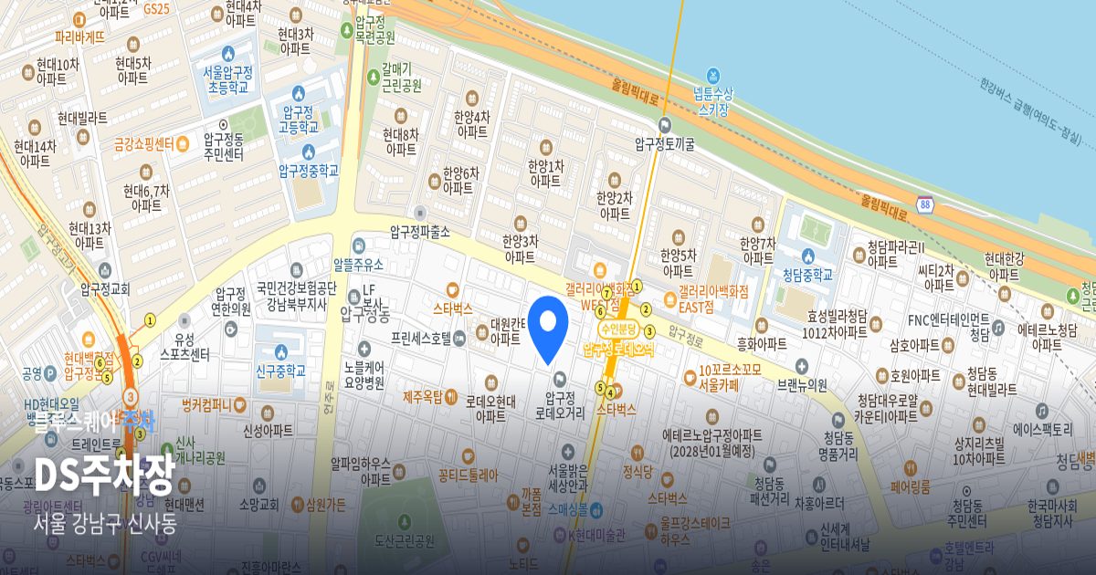 DS주차장 위치 지도