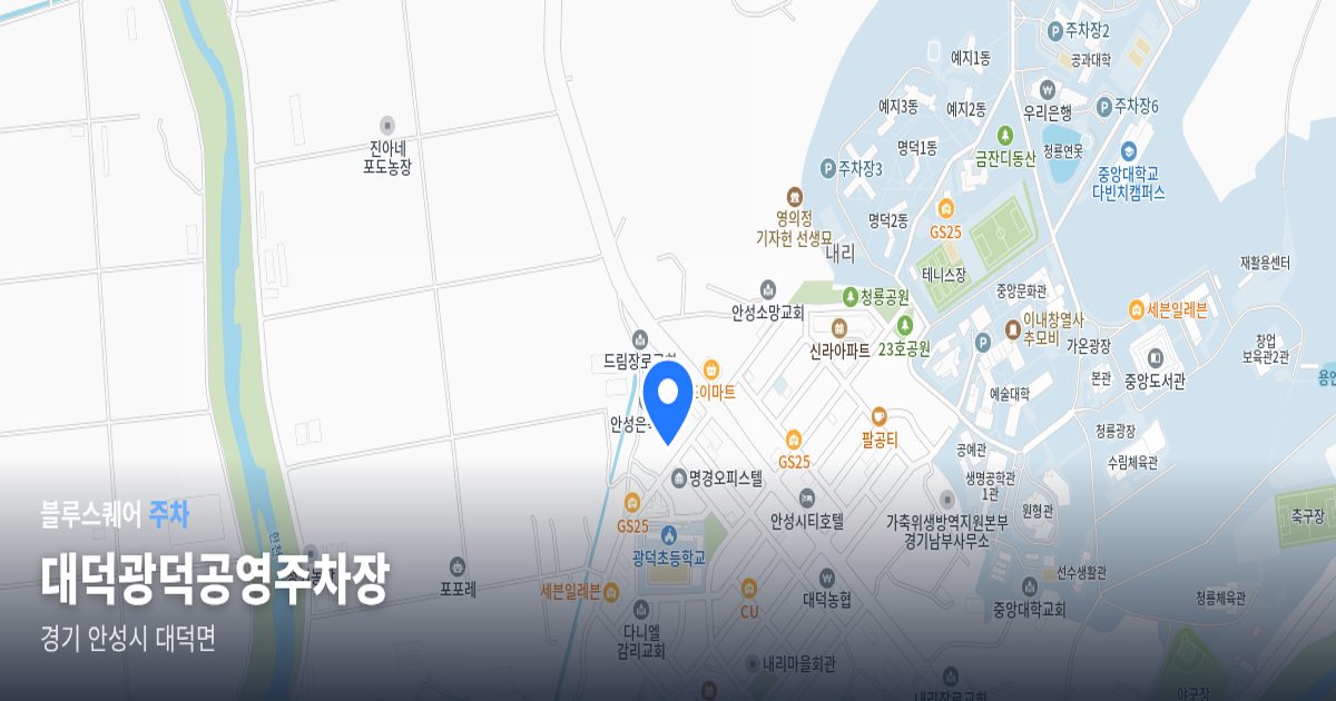대덕광덕공영주차장 위치 지도