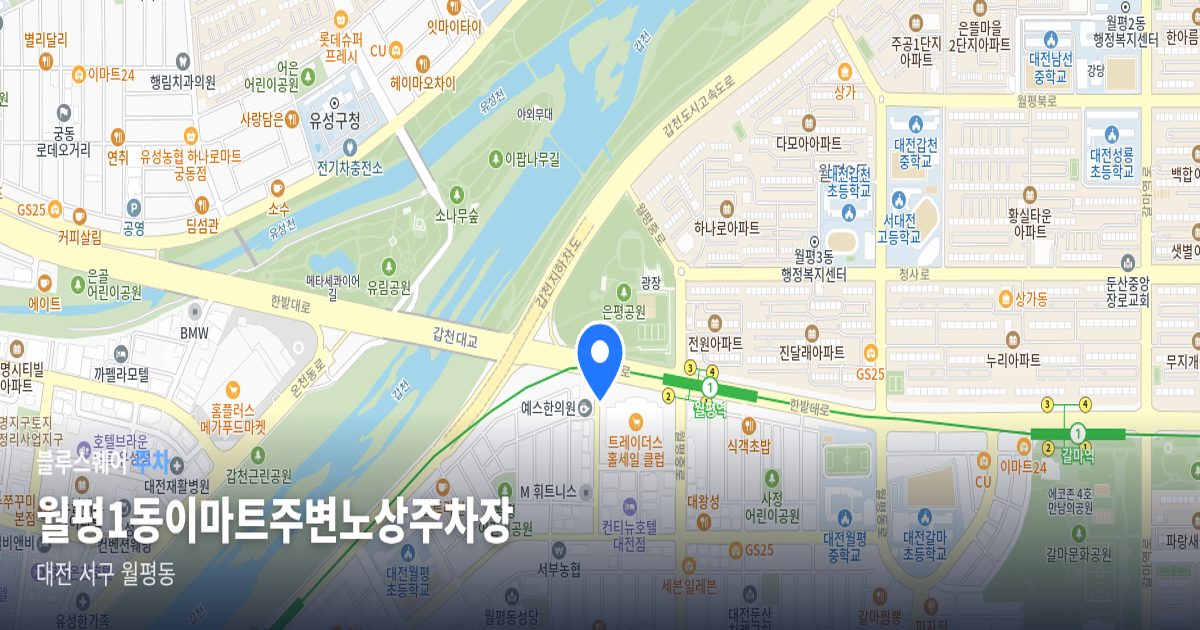 월평1동이마트주변노상주차장 위치 지도